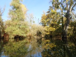 November 2025 - Wintersdorf